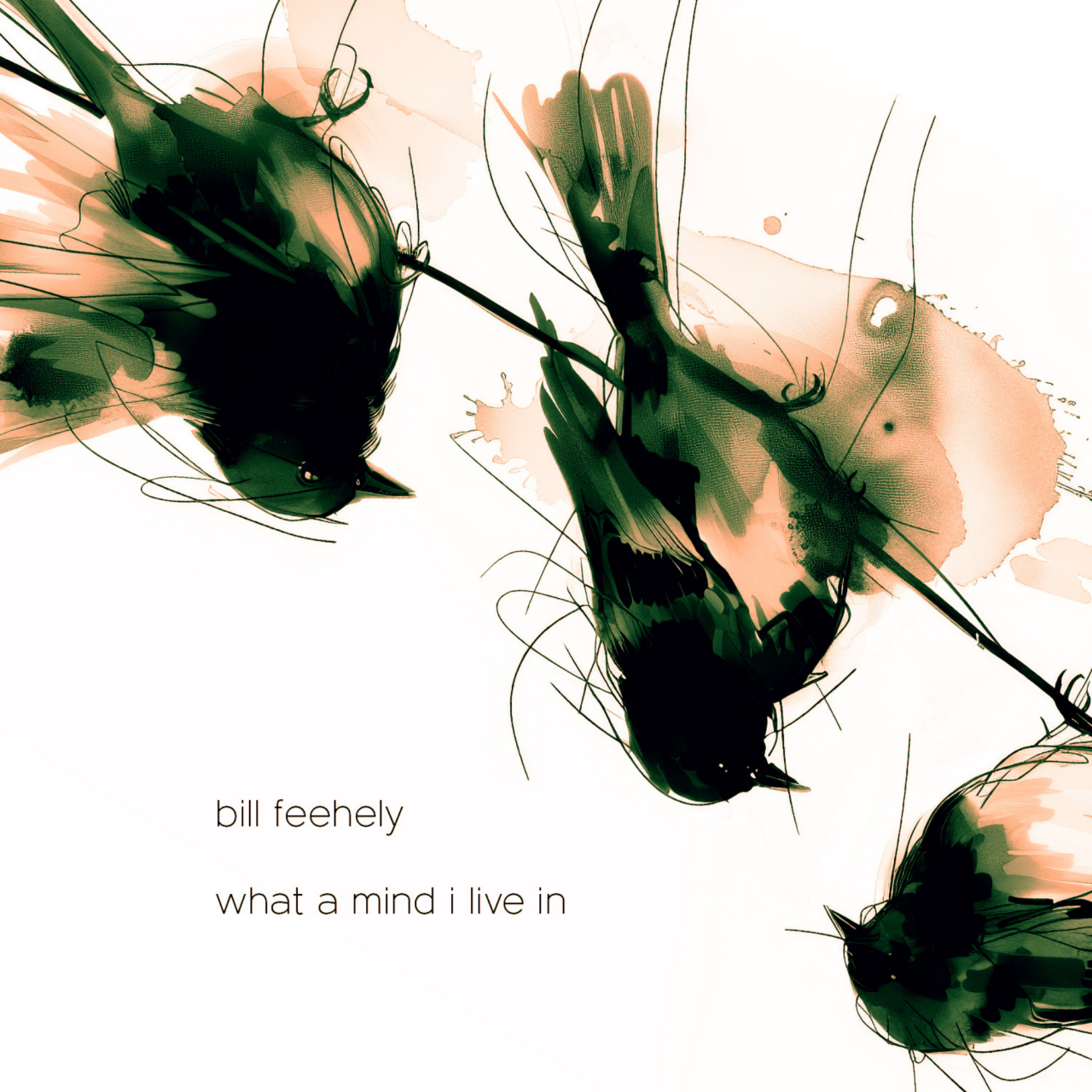 Bill Feehely What a Mind I Live In