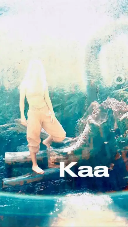 Kaa with nyxotype