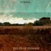 Hinterlands by Harry Verheijen: A Trip Through The Hinterspaces