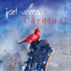 Joel Veena – Reminder feat. Jasdeep Singh, the Heart of Cardinal