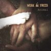 Weak Trees release Animal – a story of trust, winter, and music