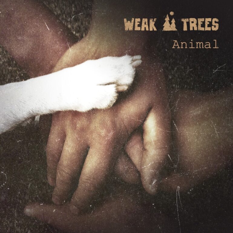 Weak Trees Animal