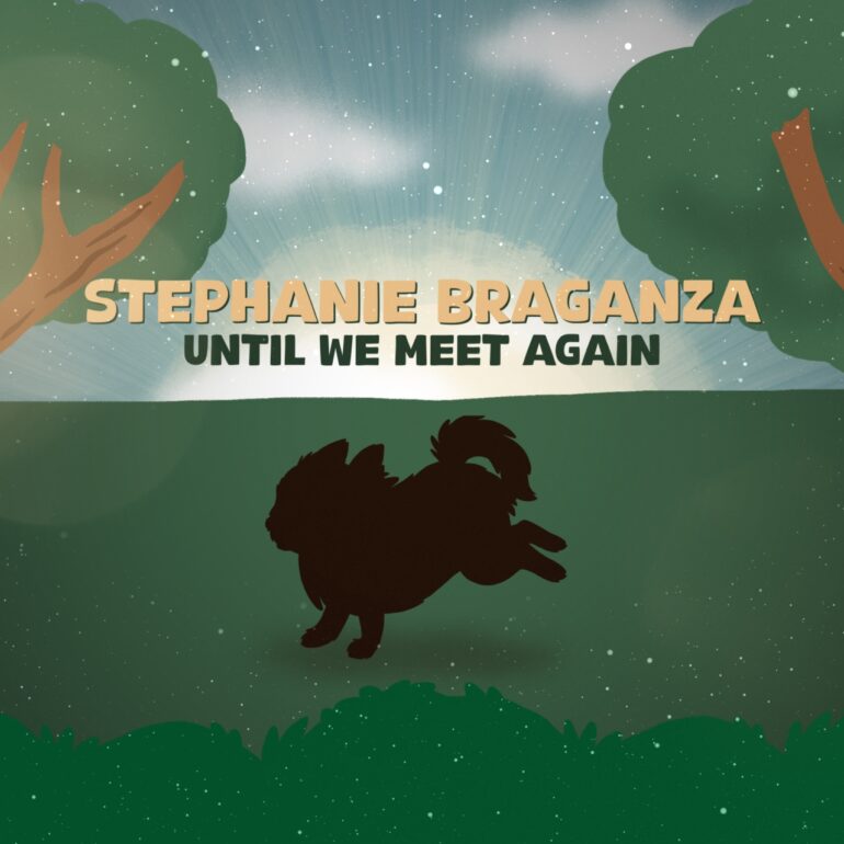 Stephanie Braganza Until We Meet Again