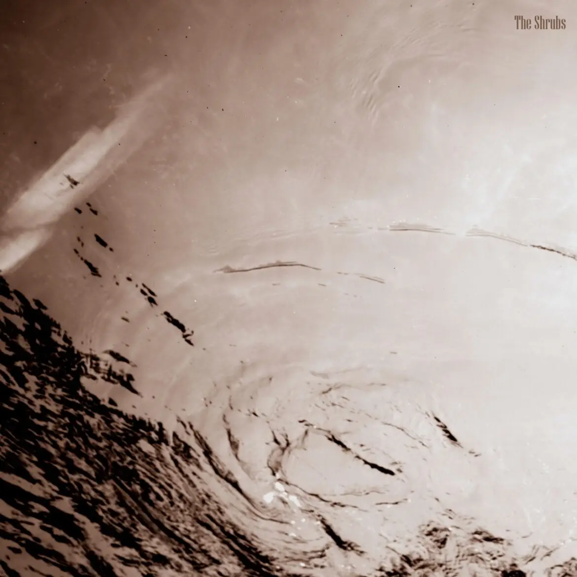 The Shrubs Let Us In