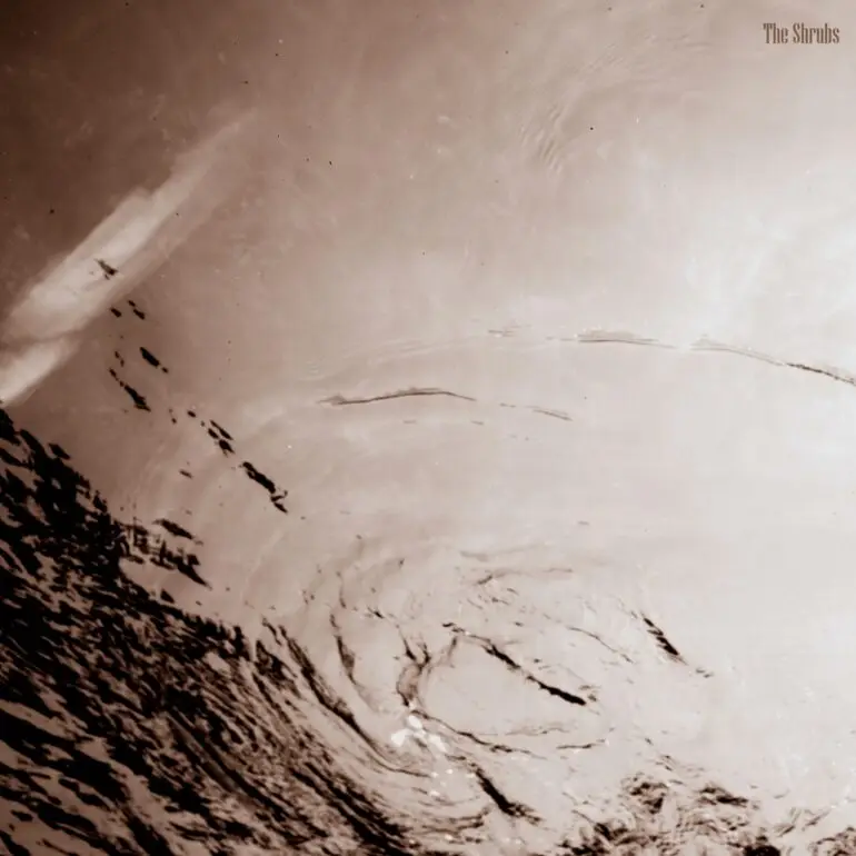 The Shrubs Let Us In